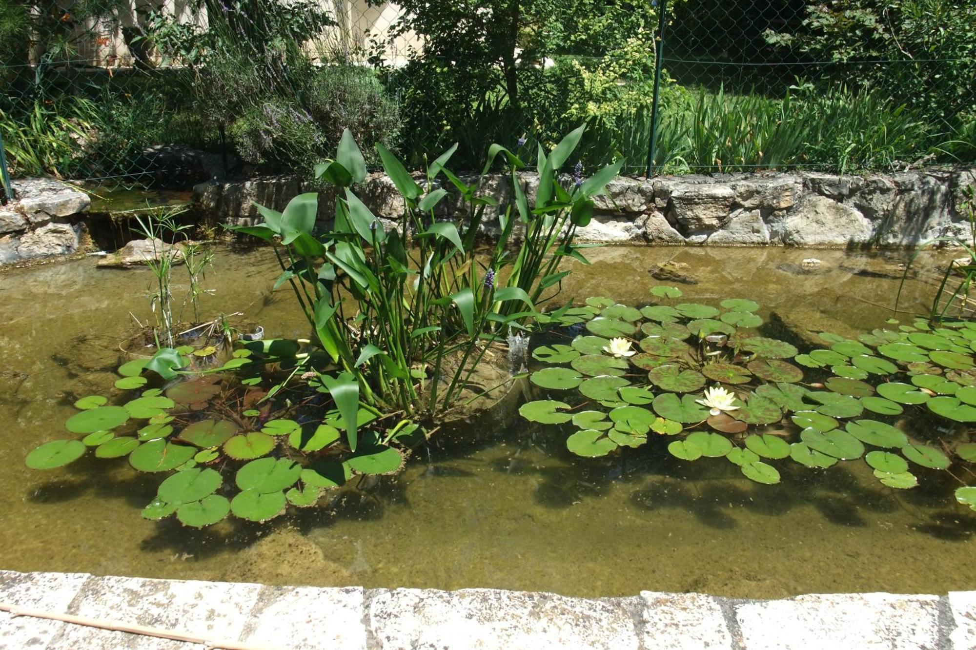 Gite La Paillote 蒙塔劳科斯 外观 照片